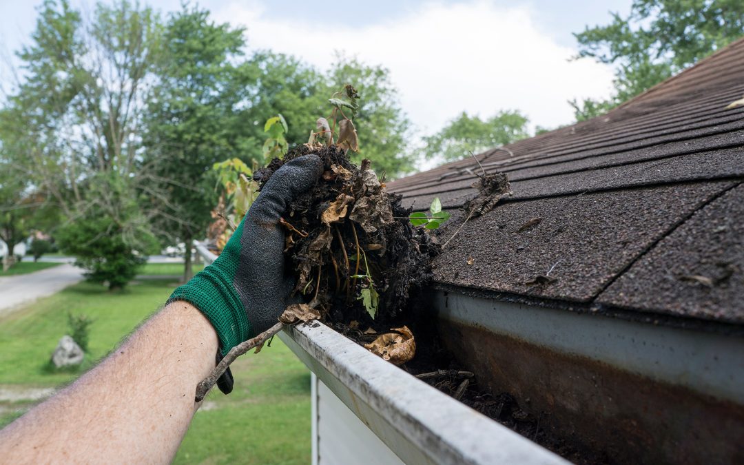 Gutter Cleaning for Rental Properties: What Are The Landlord’s Responsibilities?