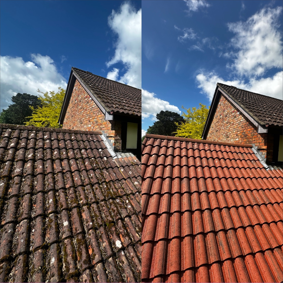 Side-by-side comparison of a clay tile roof before and after cleaning with low pressure wash and post-biocide treatment. The left side shows moss, algae, and dirt buildup, while the right reveals a clean, vibrant roof with restored clay tiles.