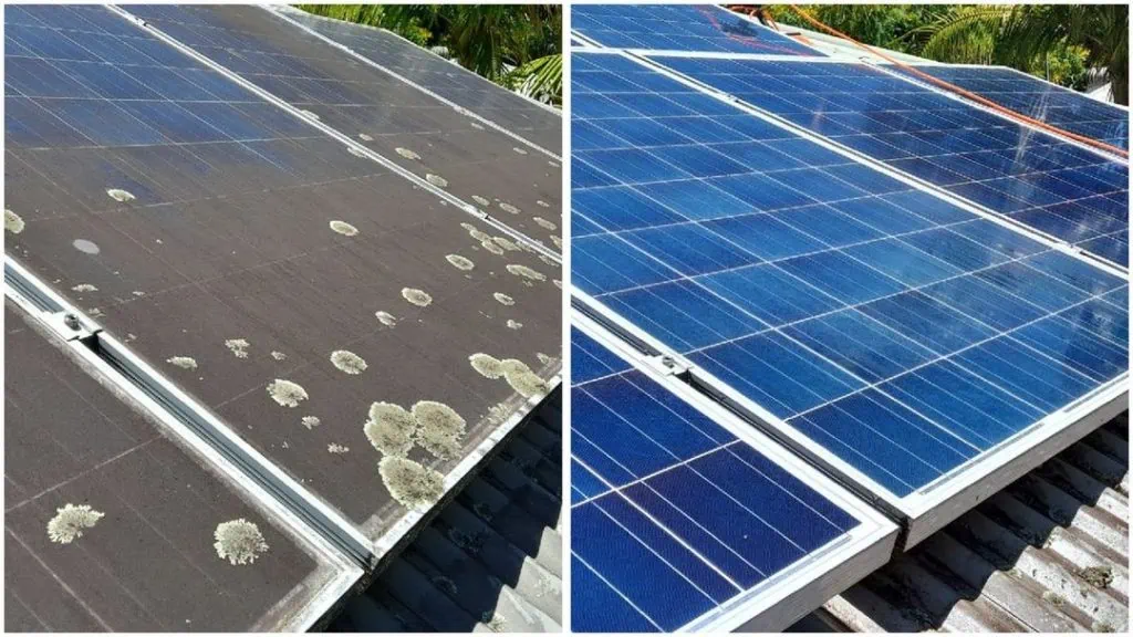 Side-by-side comparison of solar panels before and after cleaning, showing panels covered in dirt, moss, and lichen on the left, and clean, shiny panels on the right. Cleaning solar panels for residential and commercial properties across Sussex